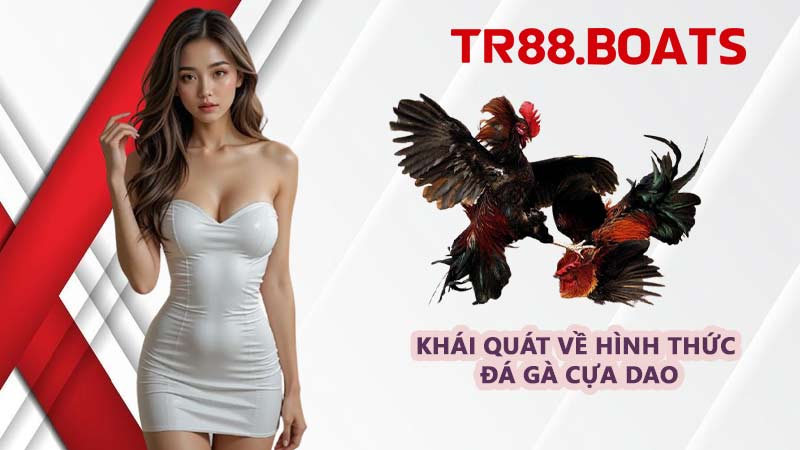 Khái quát về hình thức đá gà cựa dao